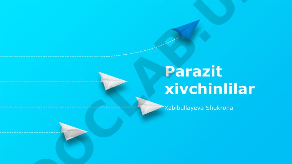 Parazit Yassi Chuvalchanglarning Hayot Sikli va Tarqalishi