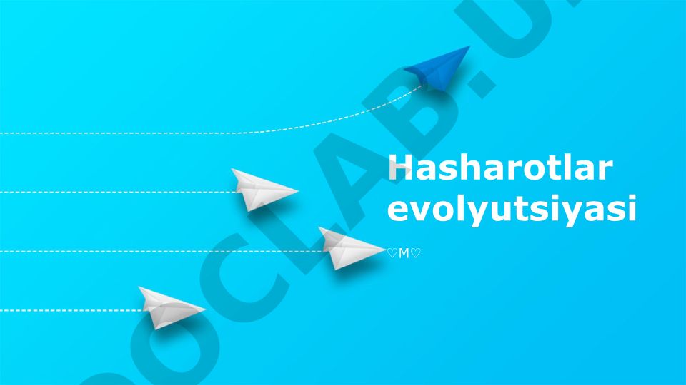 Hasharotlar evolyutsiyasi