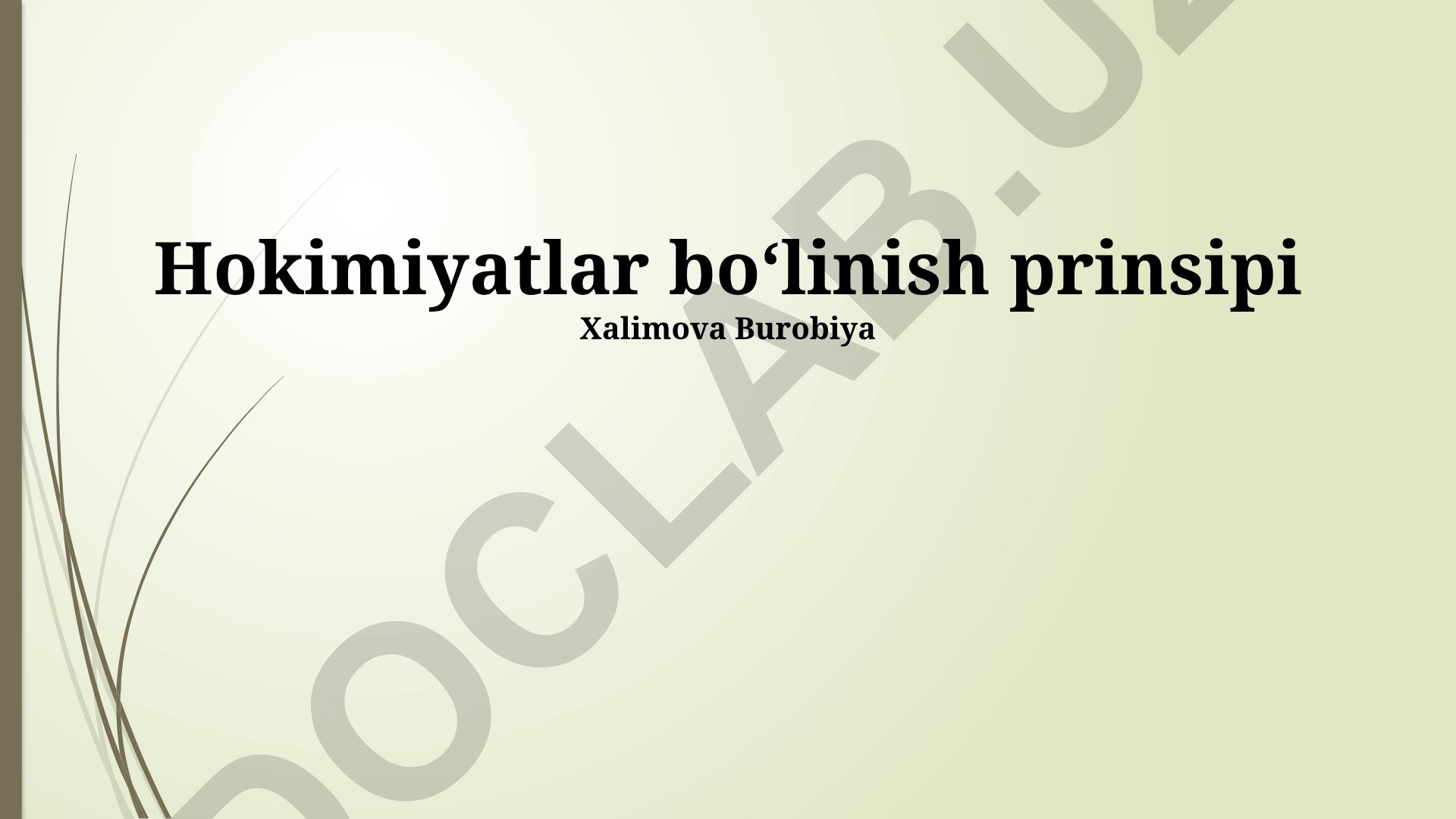 Hokimiyatlar boʻlinish prinsipi