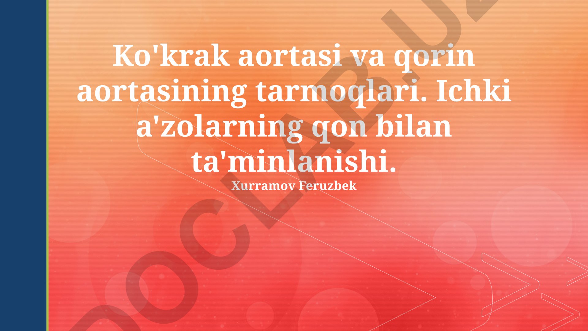 Ko'krak va qorin aortasining tarmoqlari va ichki a'zolarning qon ta'minoti