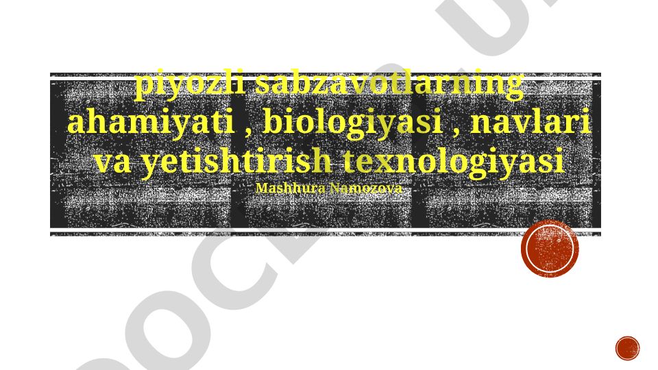 Piyozsimon sabzavotlarning ahamiyati, biologiyasi, navlari va yetishtirish texnologiyasi