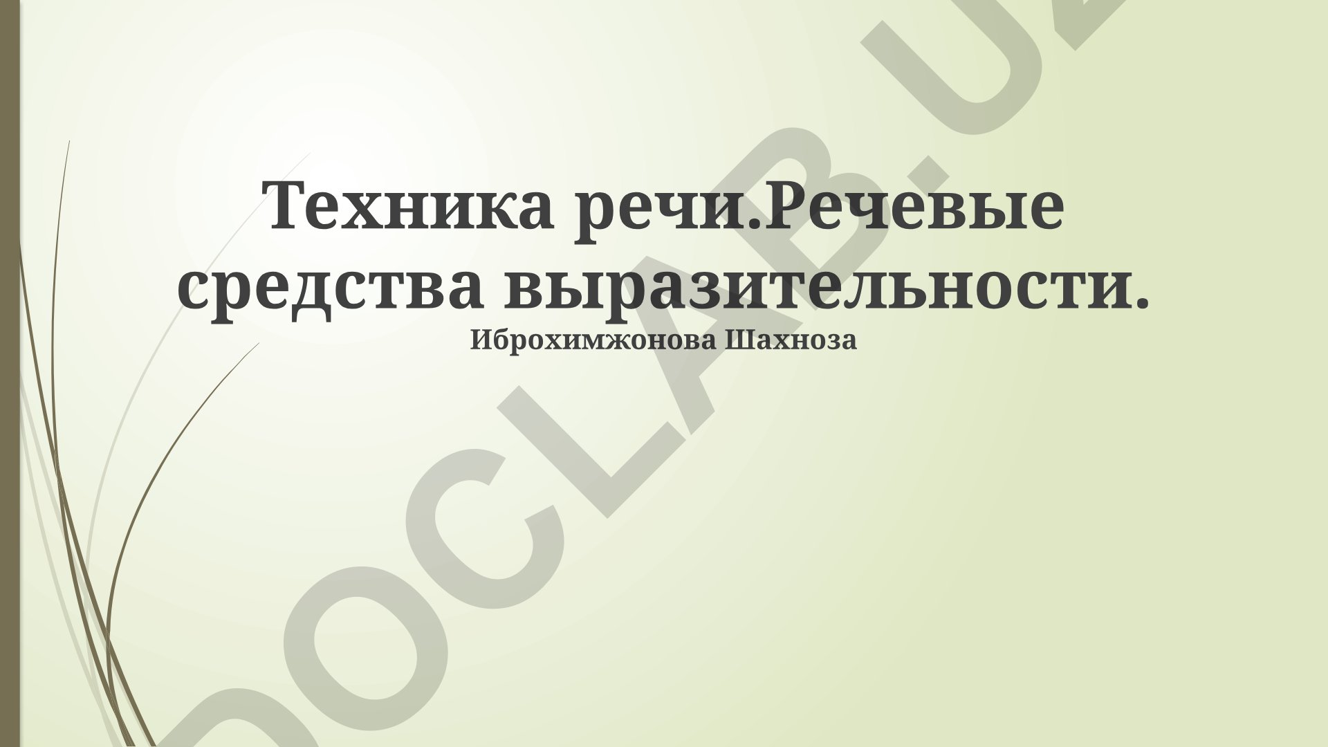 Техника речи и речевые средства выразительности