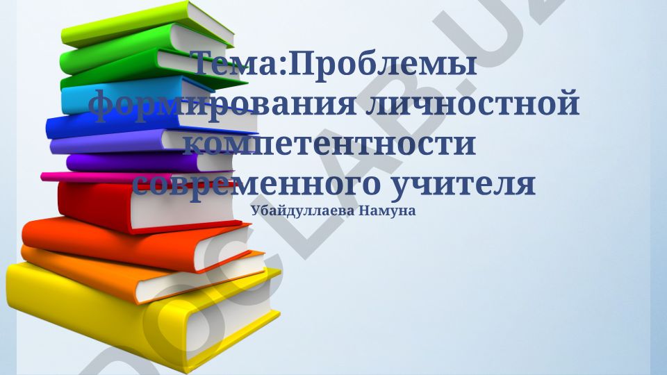 Проблемы формирования личностной компетентности современного учителя