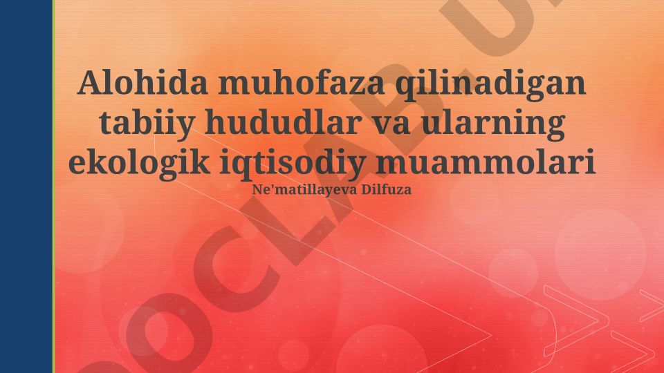 Alohida muhofaza qilinadigan tabiiy hududlar va ularning ekologik iqtisodiy muammolari