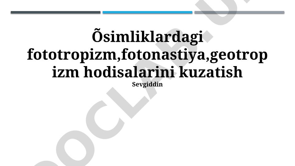 O'simliklardagi fototropizm, fotonastiya va geotropizm hodisalarini kuzatish