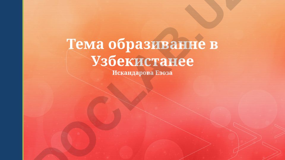 Образование в Узбекистане