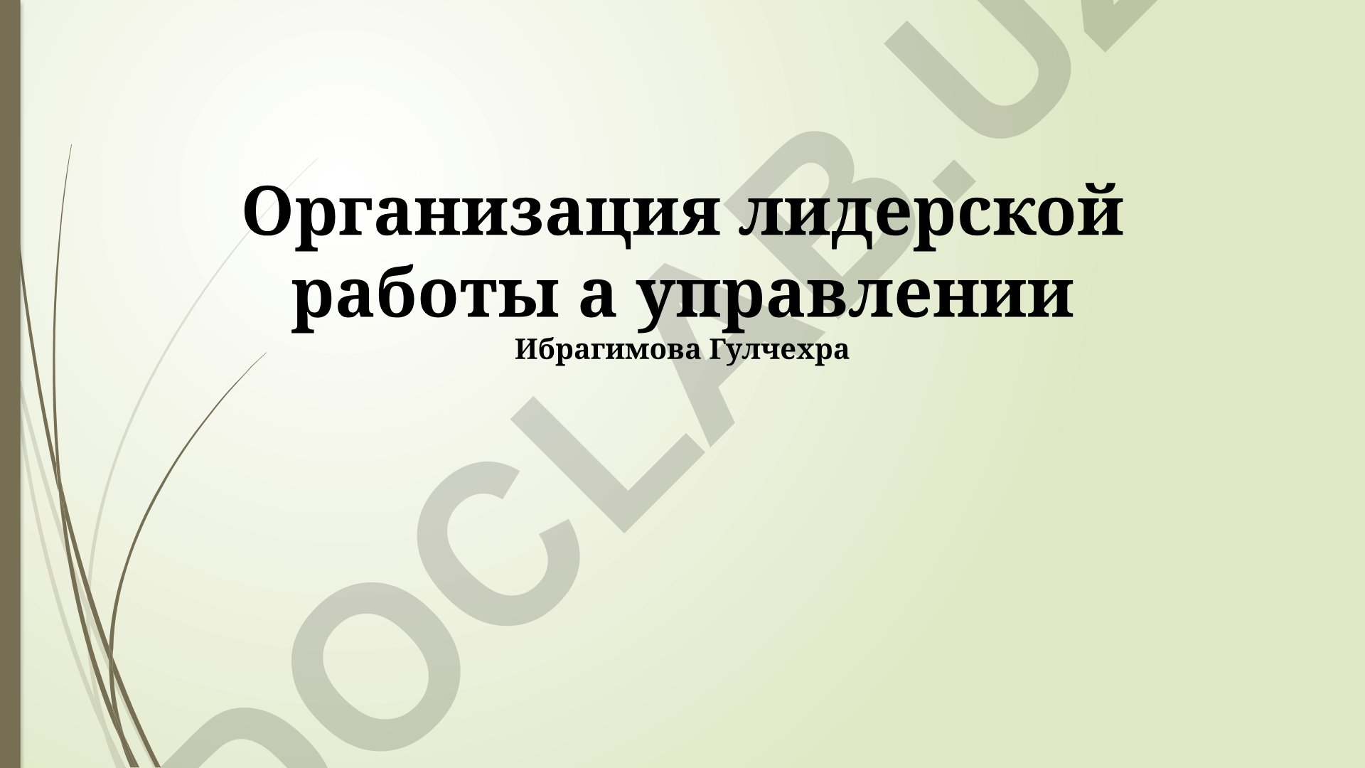 Организация лидерской работы в управлении