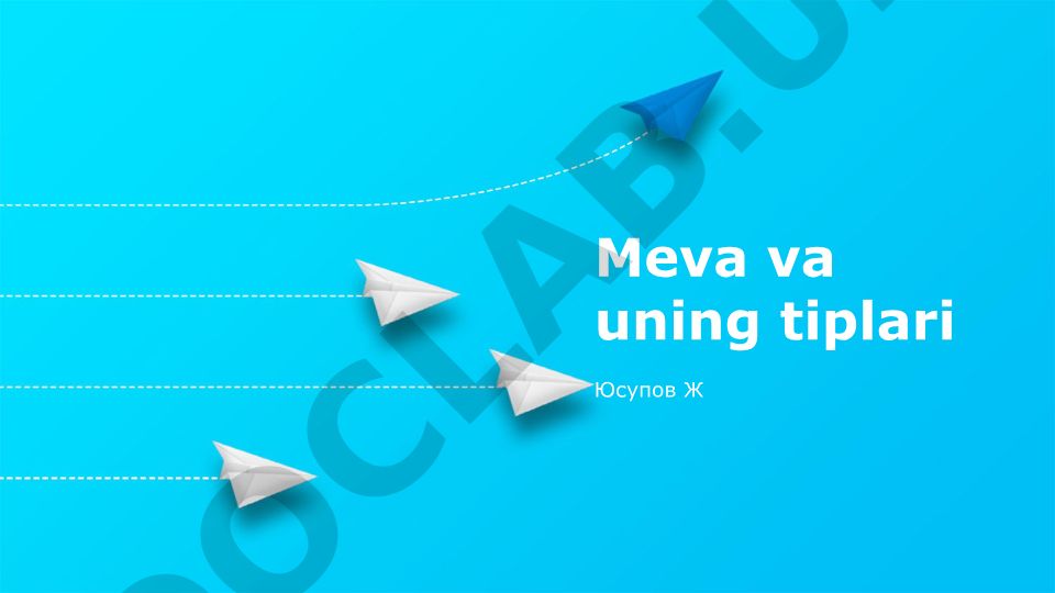 Meva va uning tiplari