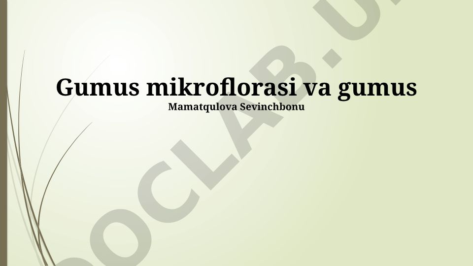 Gumus mikroflorasi va tuproq hosildorligi