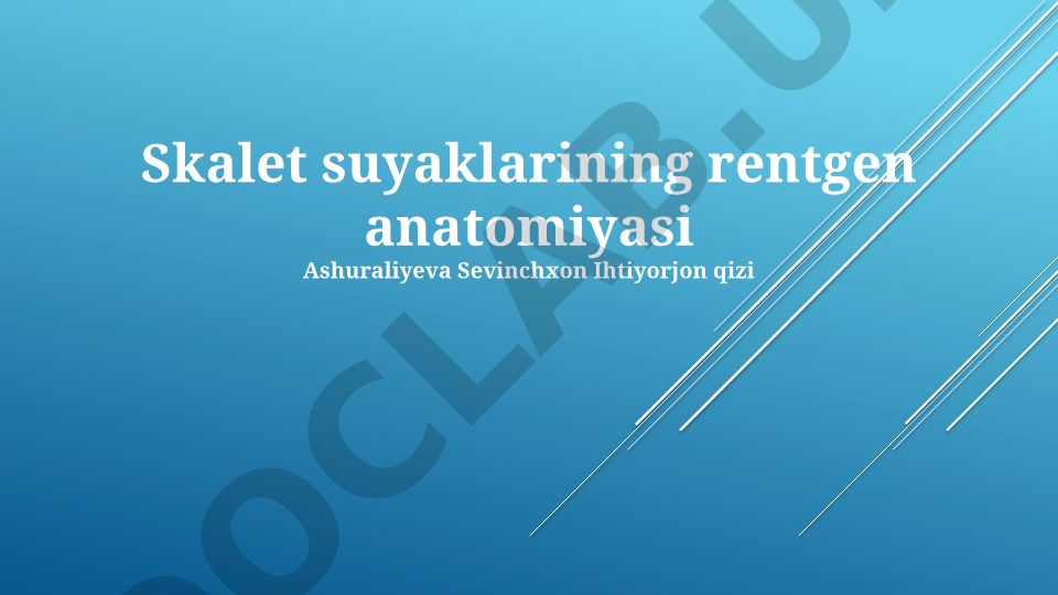 Skalet suyaklarining rentgen anatomiyasi