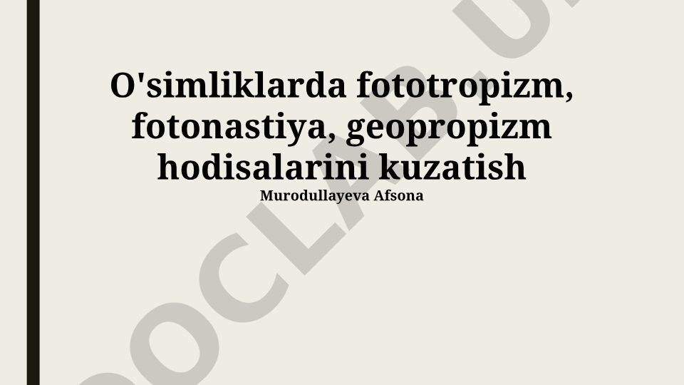 O'simliklarda fototropizm, fotonastiya va geotropizm hodisalarini kuzatish