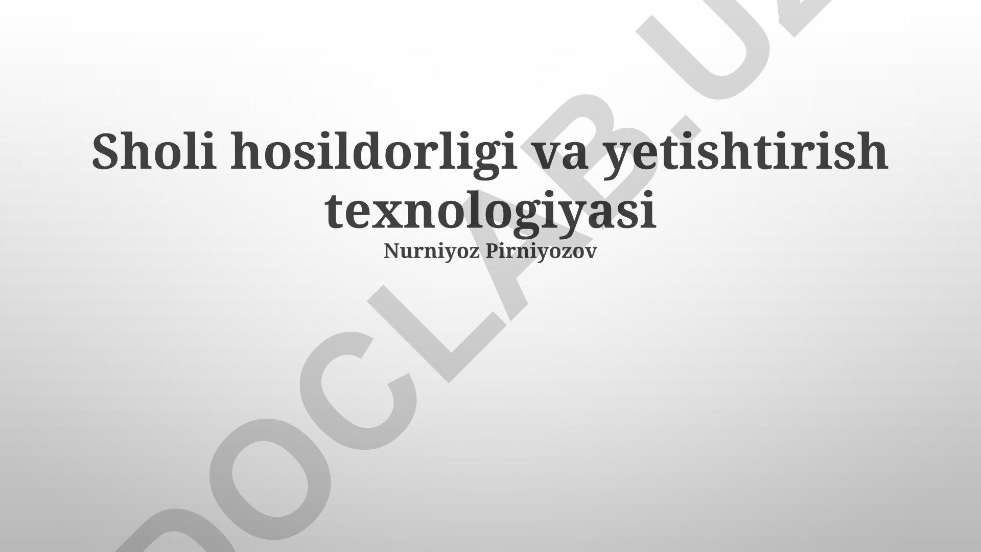 Sholi hosildorligi va yetishtirish texnologiyasi