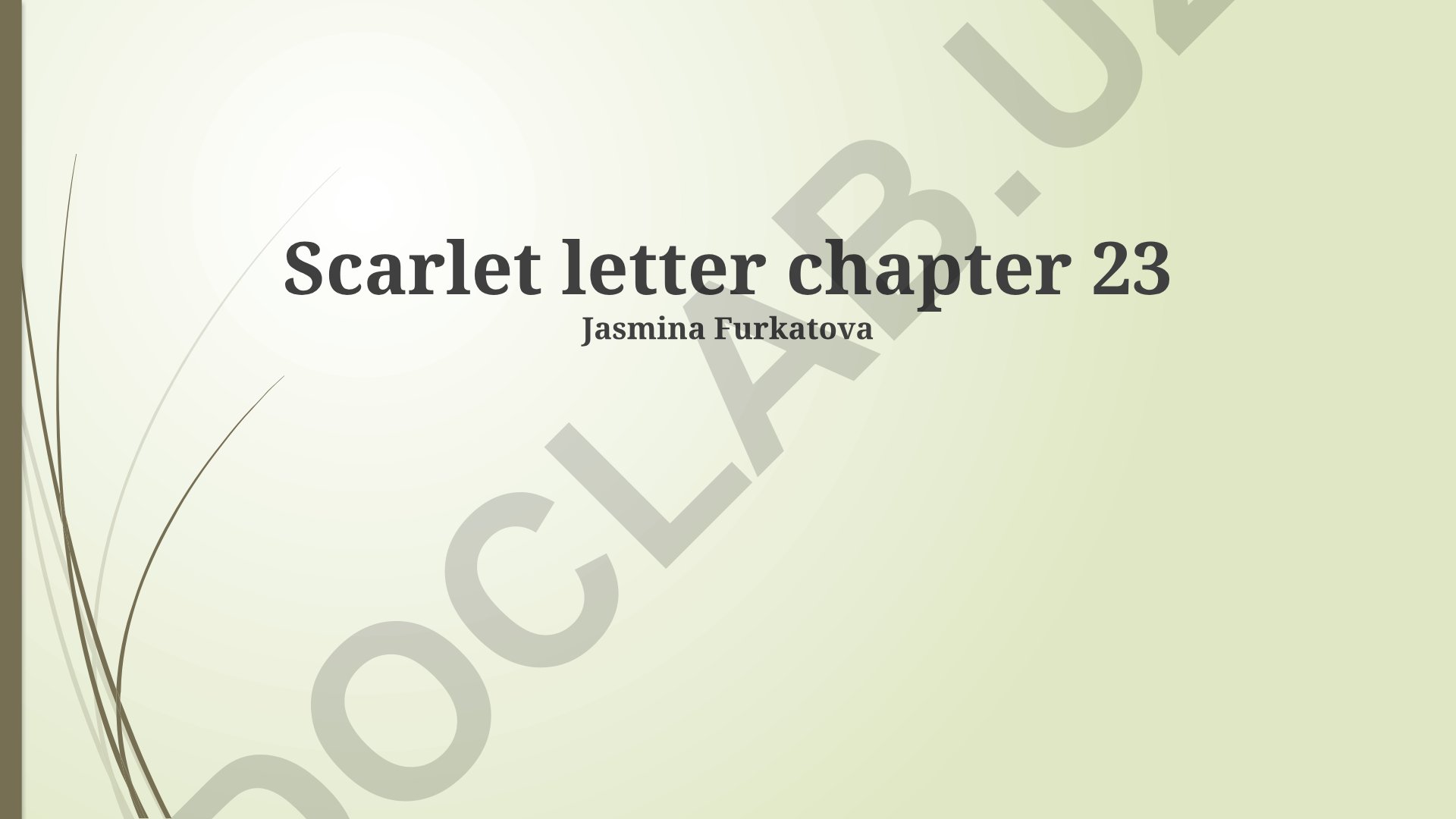 Scarlet letter chapter 23