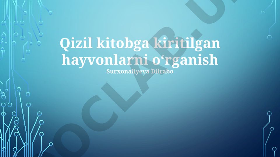 Qizil Kitobga kiritilgan hayvonlarni o‘rganish