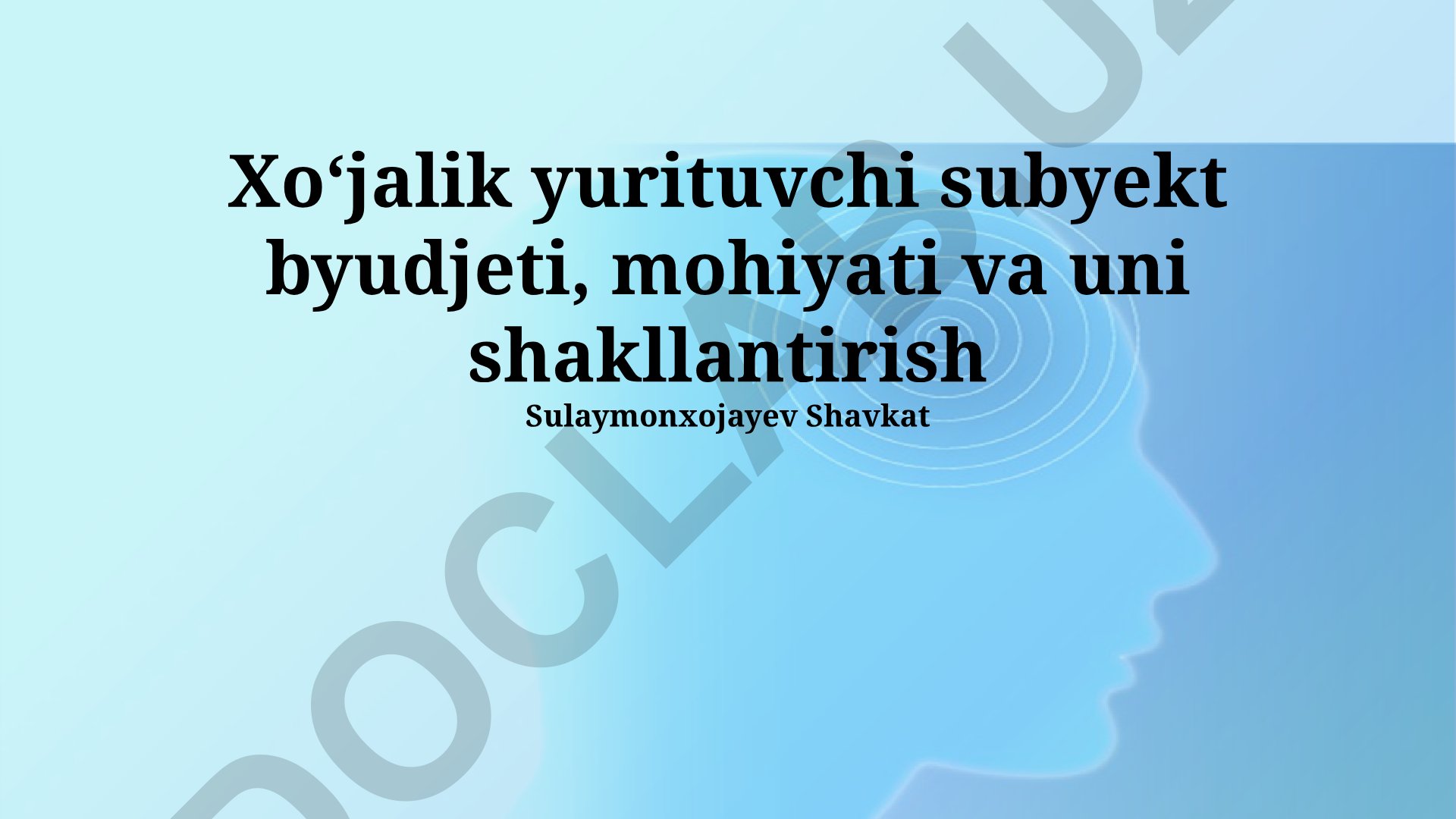 Xo‘jalik yurituvchi subyekt byudjeti, mohiyati va uni shakllantirish