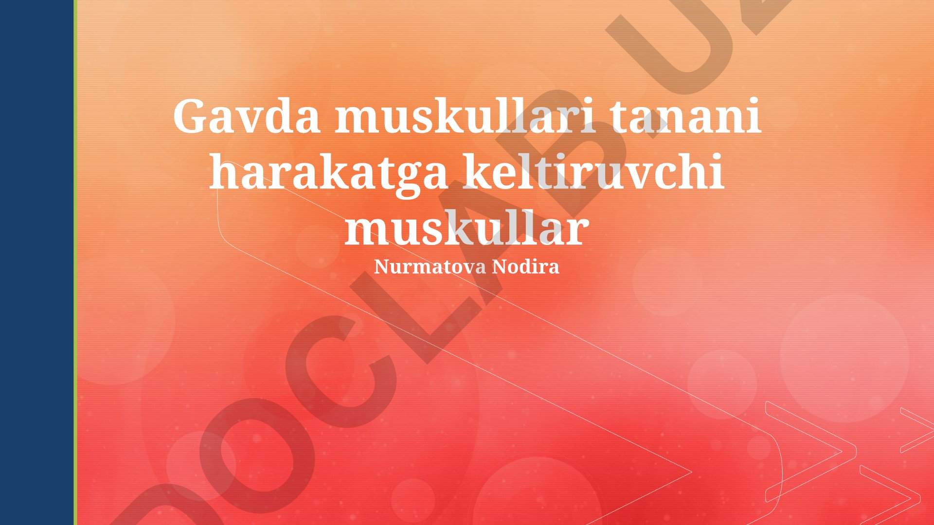 Gavda muskullari: tuzilishi, funksiyalari va harakat mexanizmlari