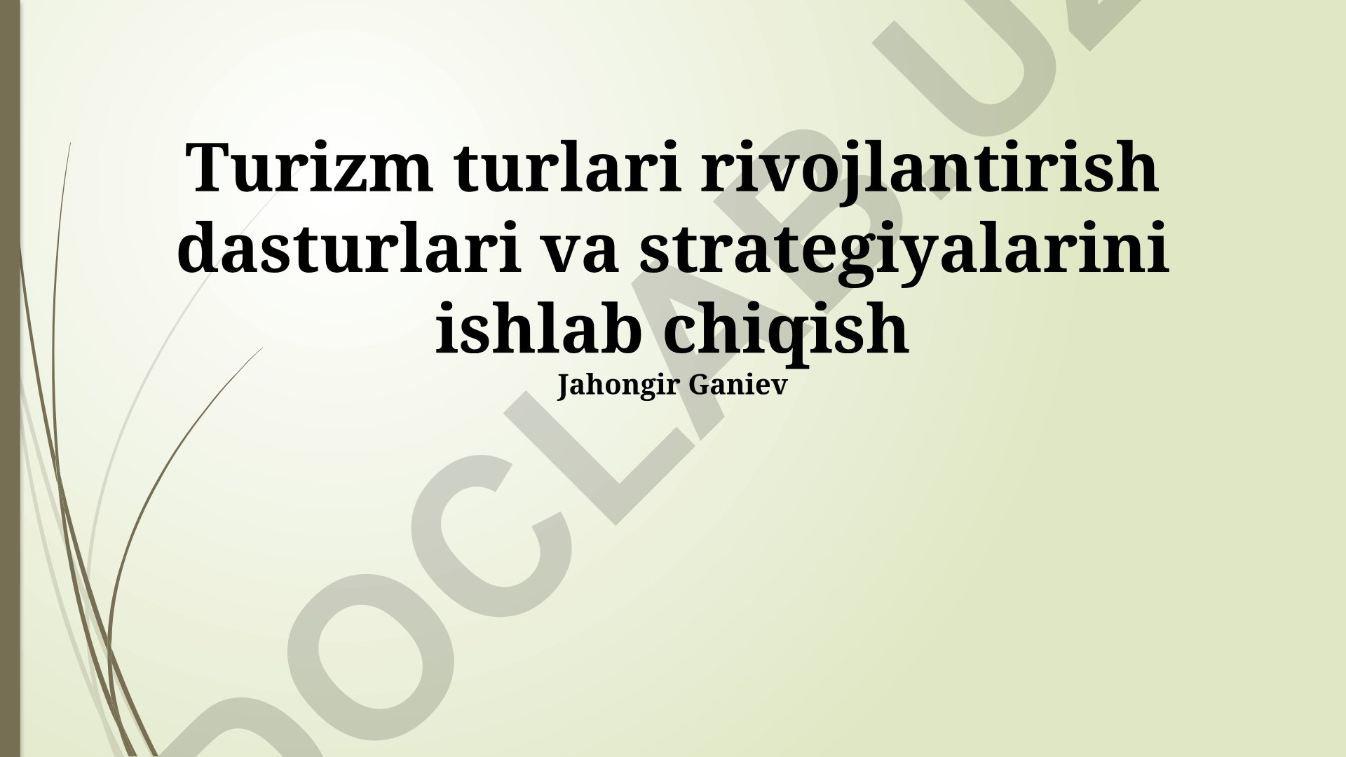 Turizm turlari rivojlantirish dasturlari va strategiyalarini ishlab chiqish