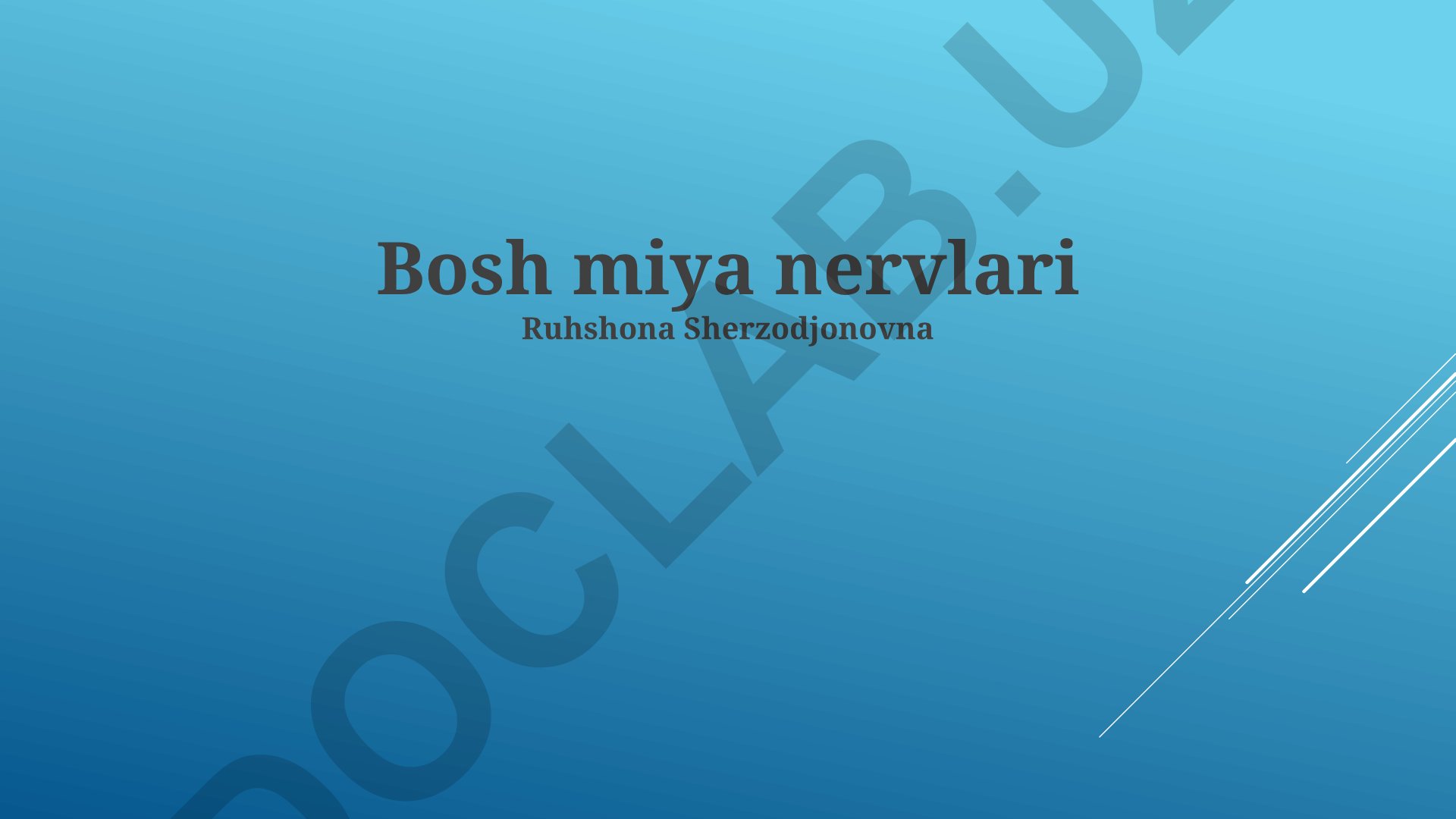 Bosh miya nervlari: turlari, funktsiyalari va shikastlanishi