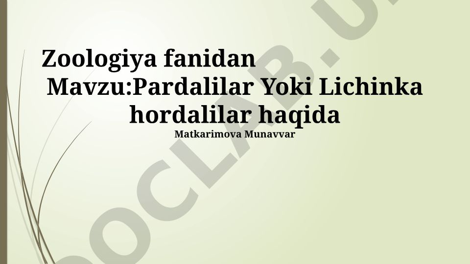 Pardalilar Yoki Lichinka hordalilar haqida