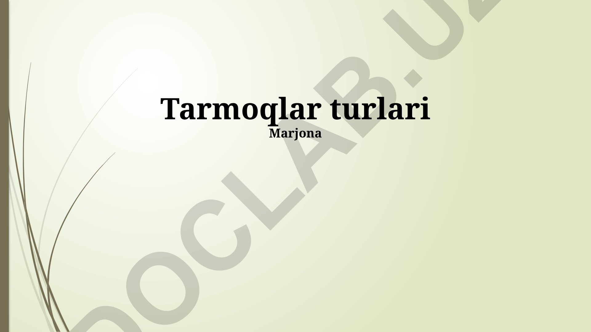 Tarmoqlar turlari va topologiyalari