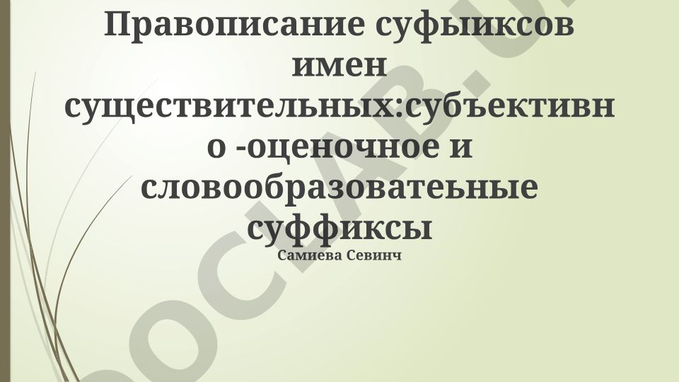 Правописание суффиксов имён существительных: субъективно-оценочные и словообразовательные суффиксы