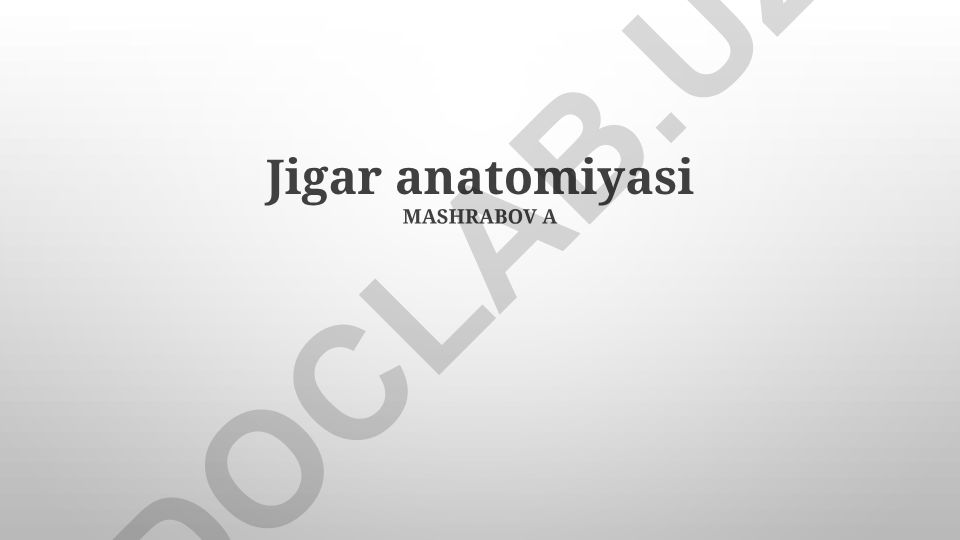 Jigar anatomiyasi