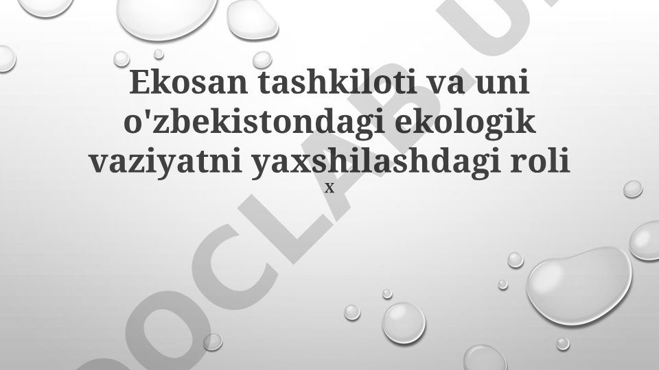 Ekosan tashkiloti va uni O'zbekistondagi ekologik vaziyatni yaxshilashdagi roli
