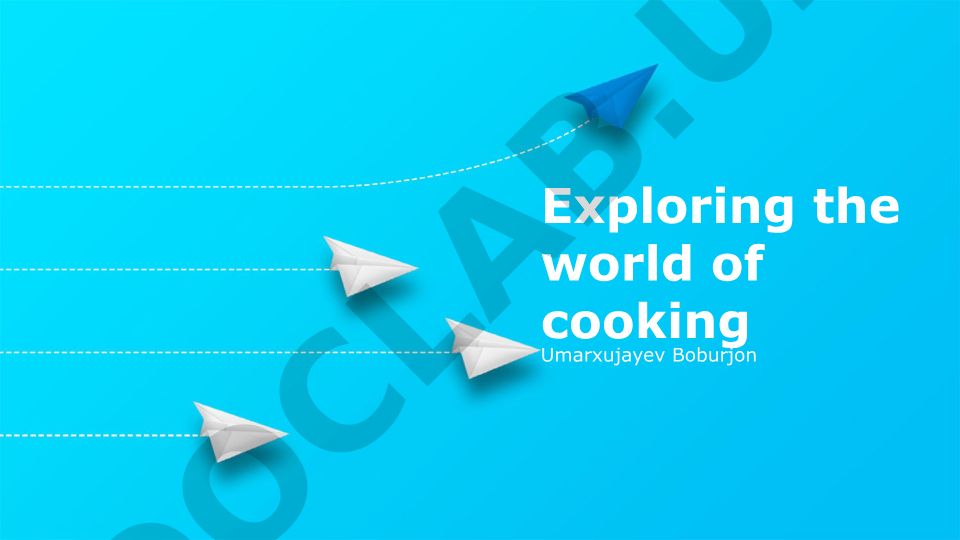 Exploring the world of cooking