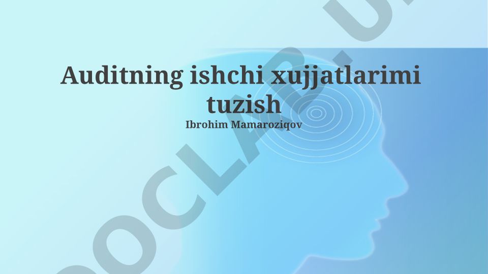 Audit ishchi hujjatlarini tuzish va rejalashtirish