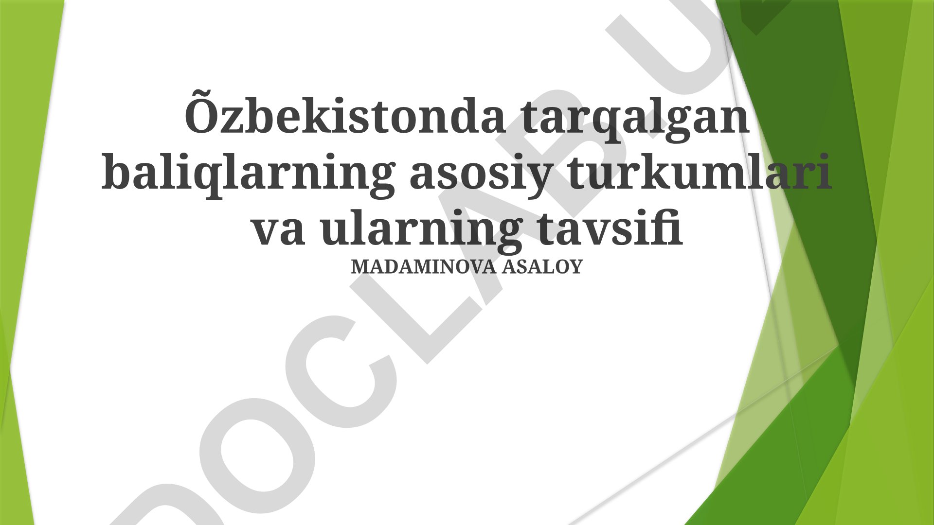 O'zbekistonda tarqalgan baliqlarning asosiy turkumlari va ularning tavsifi