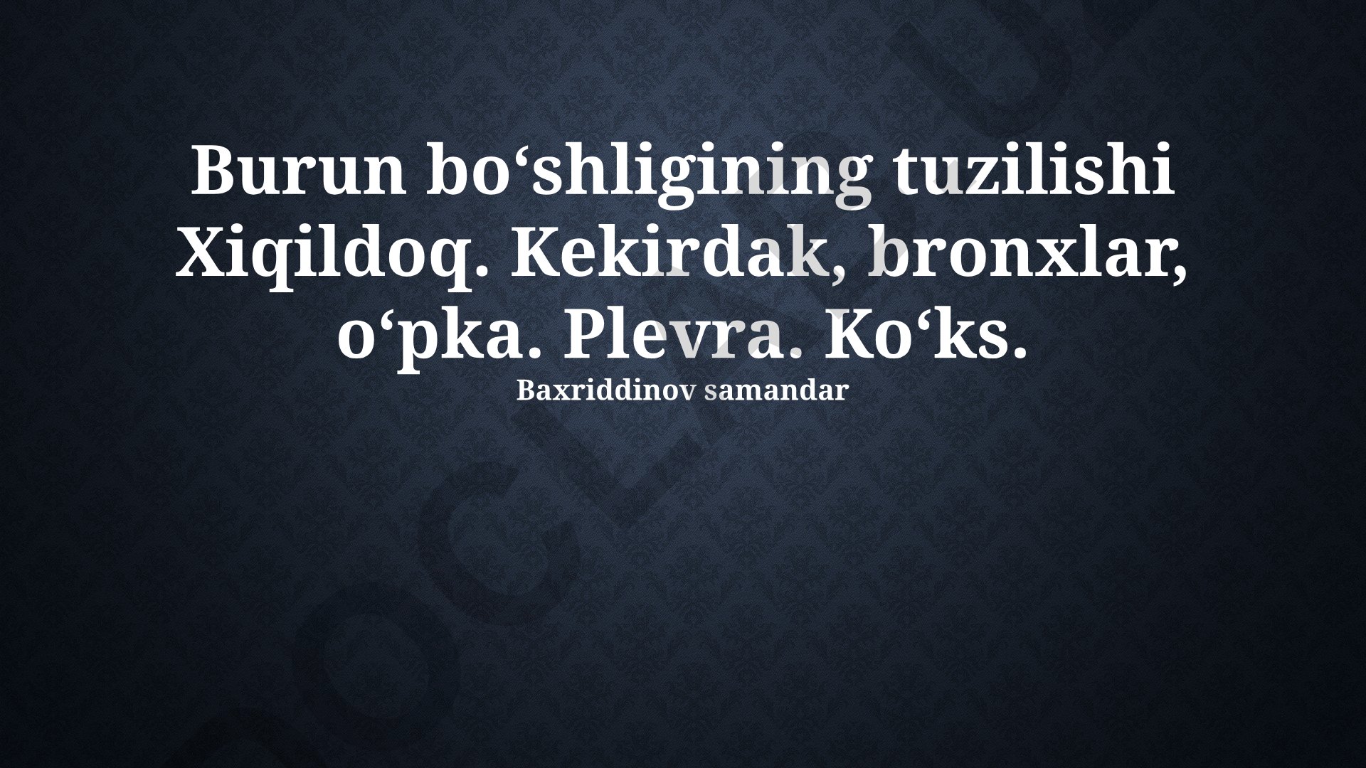 Burun bo'shlig'i, plevra va ko'krak qafasi tuzilishi