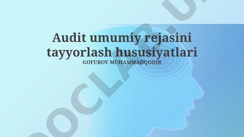 Audit umumiy rejasini tayyorlash hususiyatlari