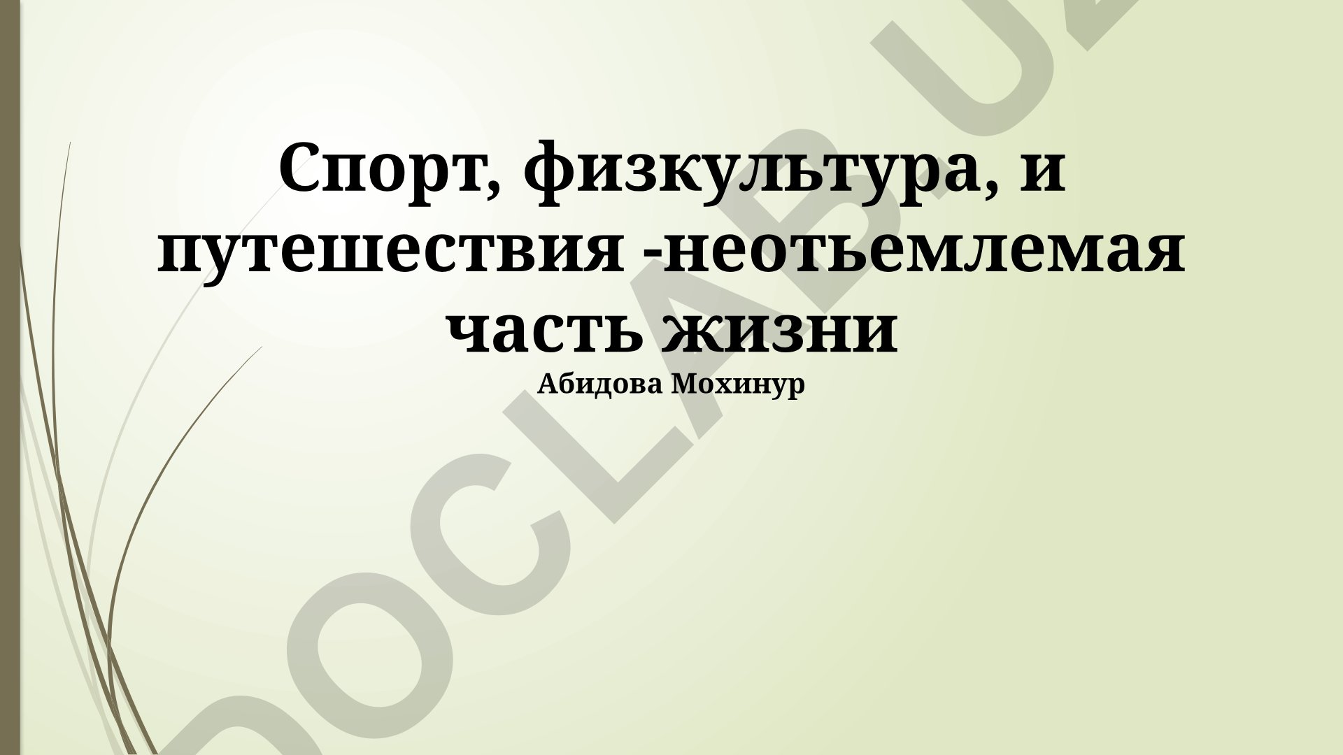 Спорт, физкультура и путешествия как часть здорового образа жизни