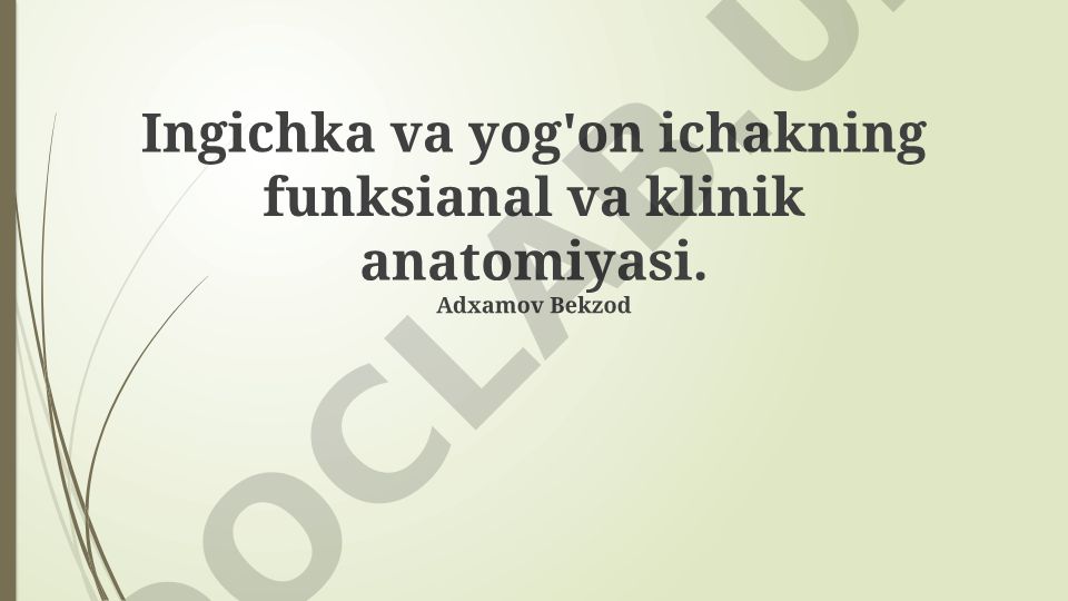 Ingichka va yog'on ichakning funksional va klinik anatomiyasi