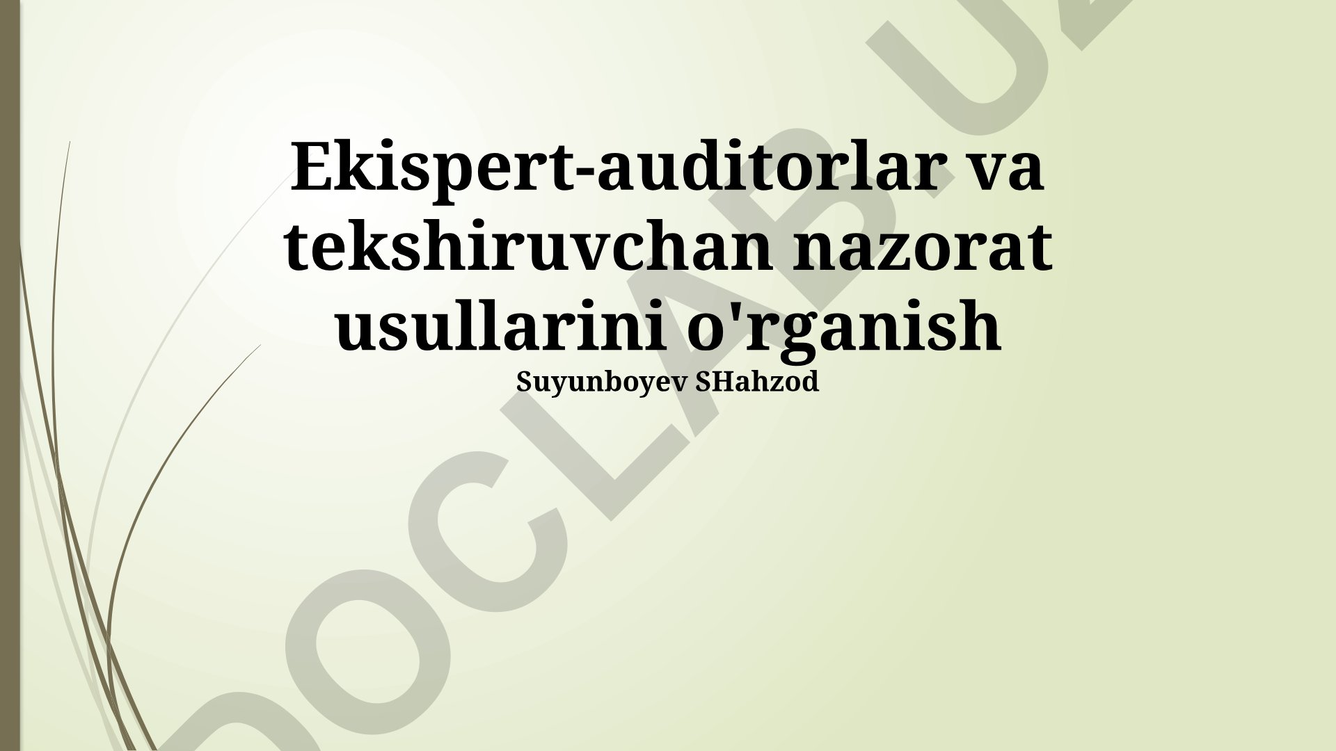 Ekspert-auditorlar va tekshiruvchan nazorat usullarini o'rganish