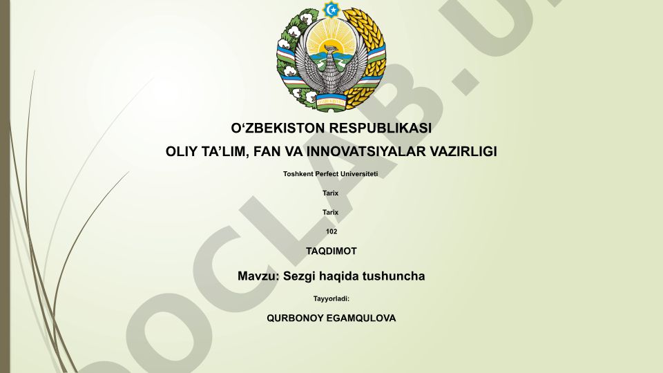 Sezgi haqida tushuncha