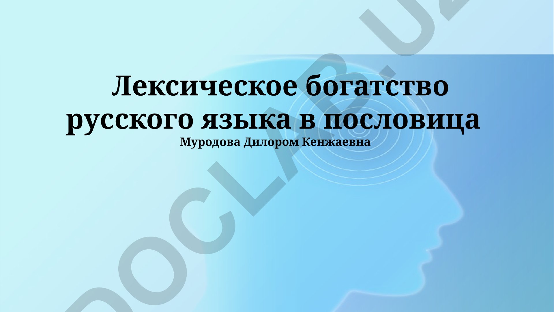 Лексическое богатство русского языка в пословицах