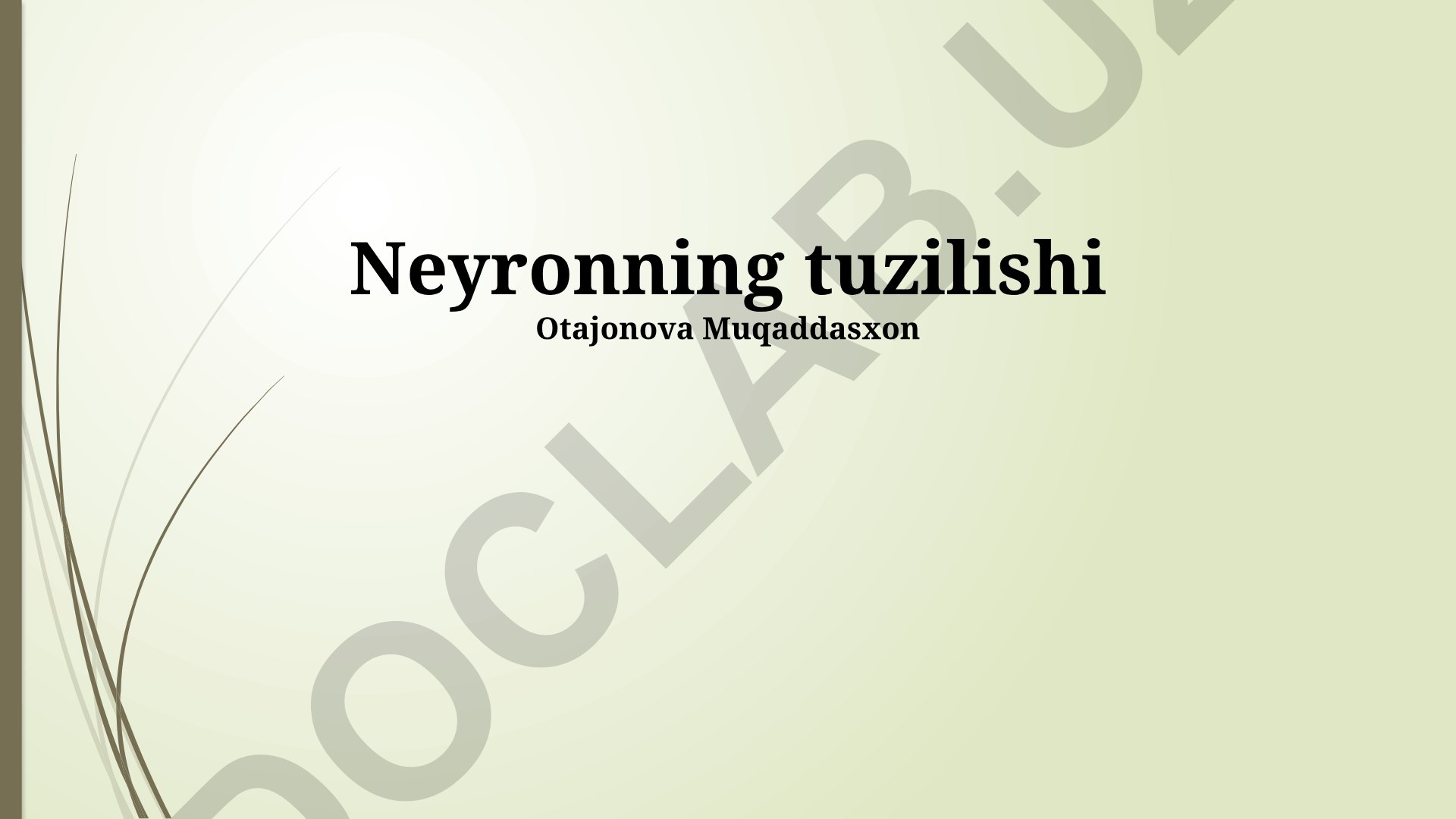 Neyronning tuzilishi va neyronlararo aloqa mexanizmlari