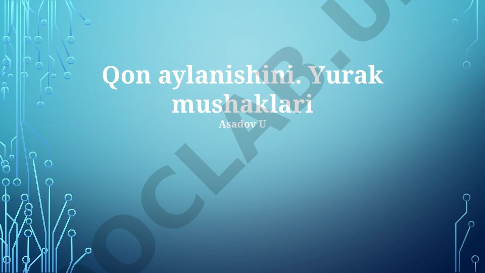Yurak mushaklari va qon aylanishi