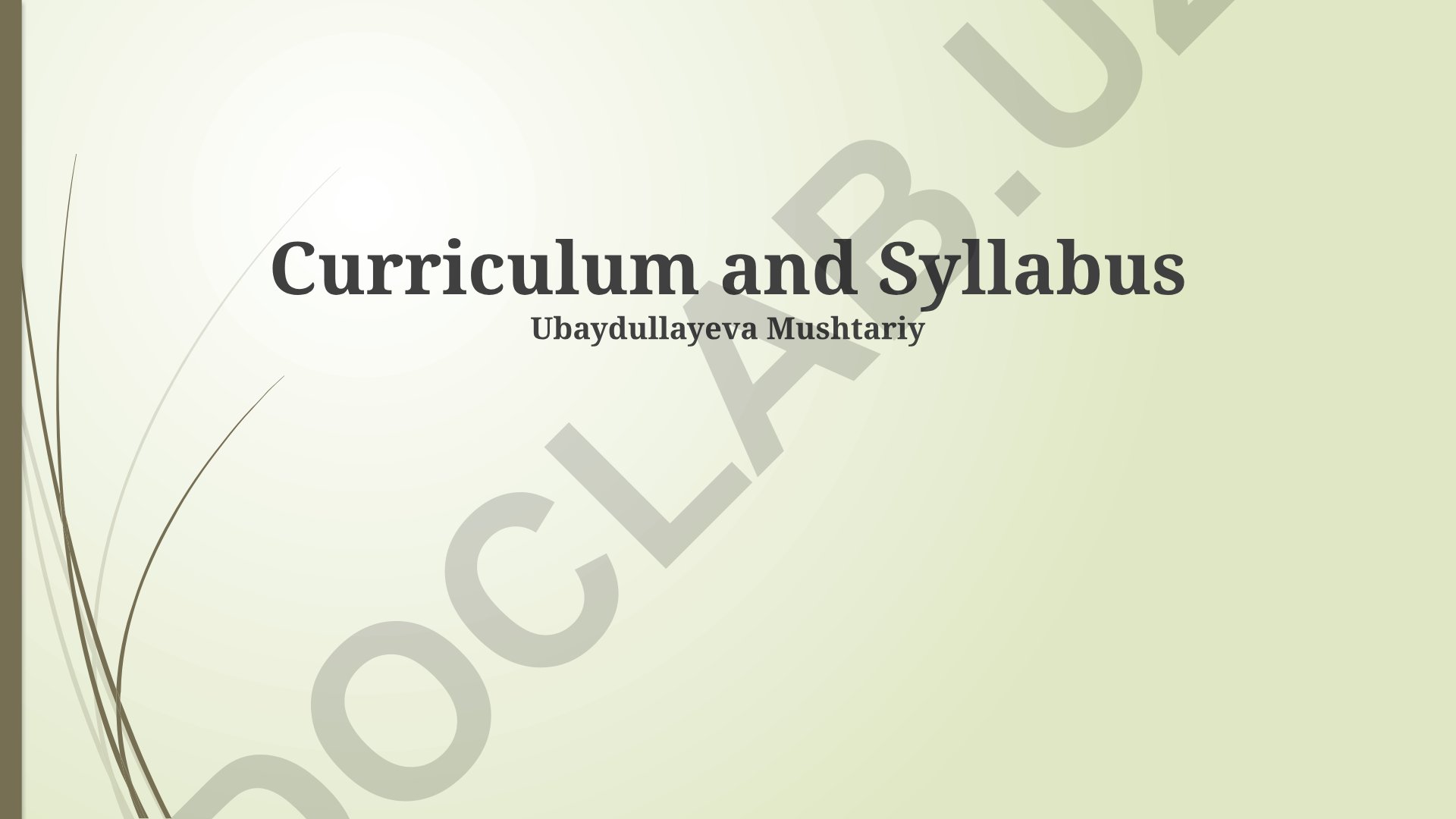 Curriculum and Syllabus: Key Differences and Practical Applications