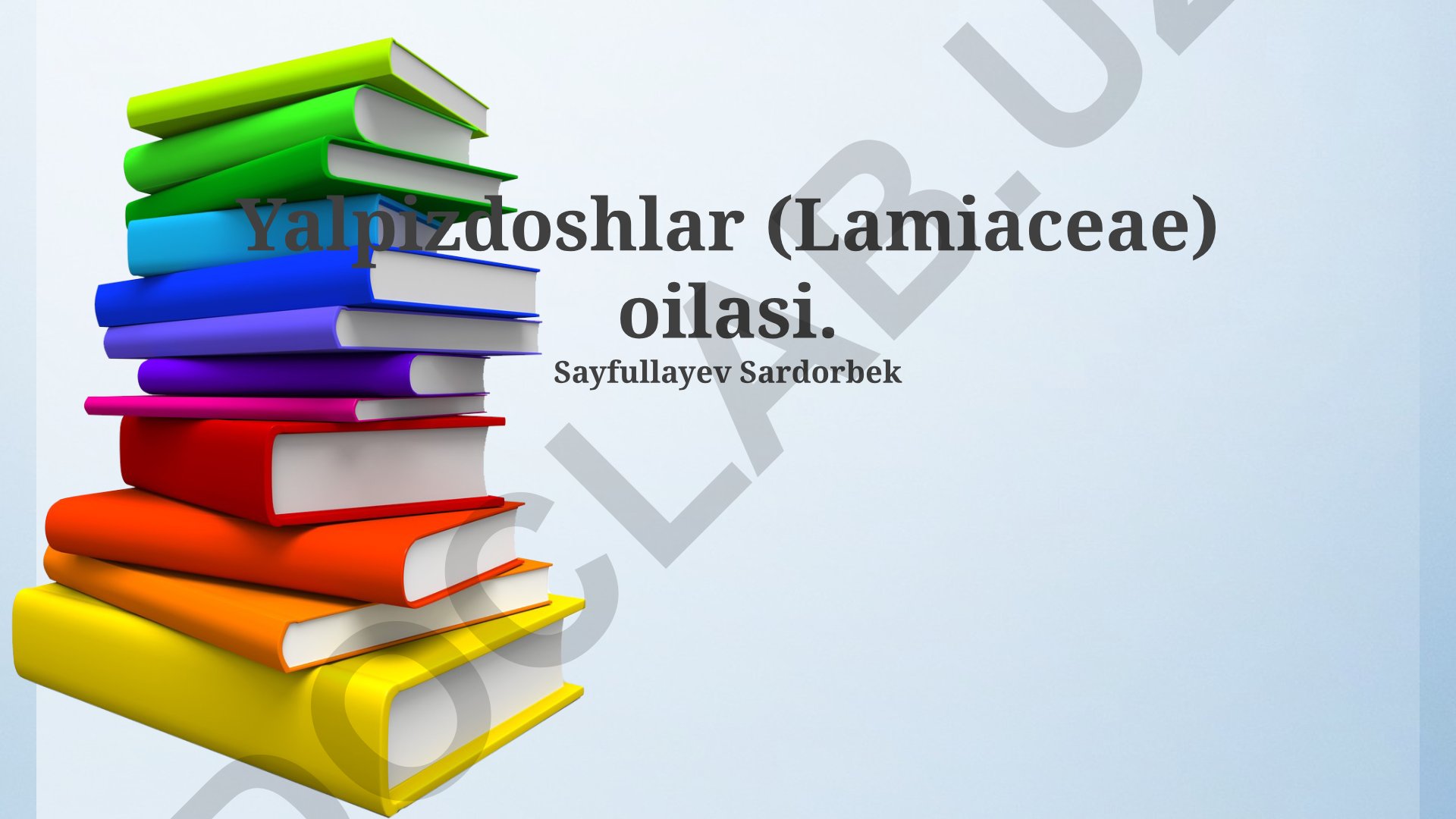 Yalpizdoshlar (Lamiaceae) oilasining turlari, xususiyatlari va ahamiyati