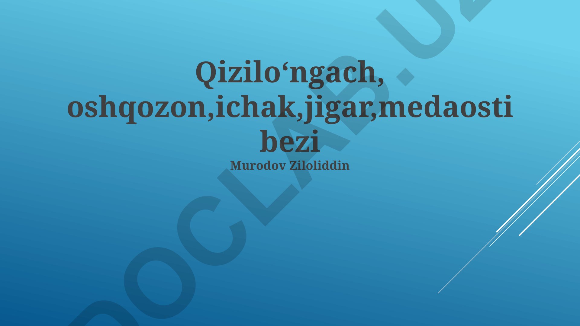 Qizilo'ngach, oshqozon, ichak, jigar, medaosti bezi anatomiyasi