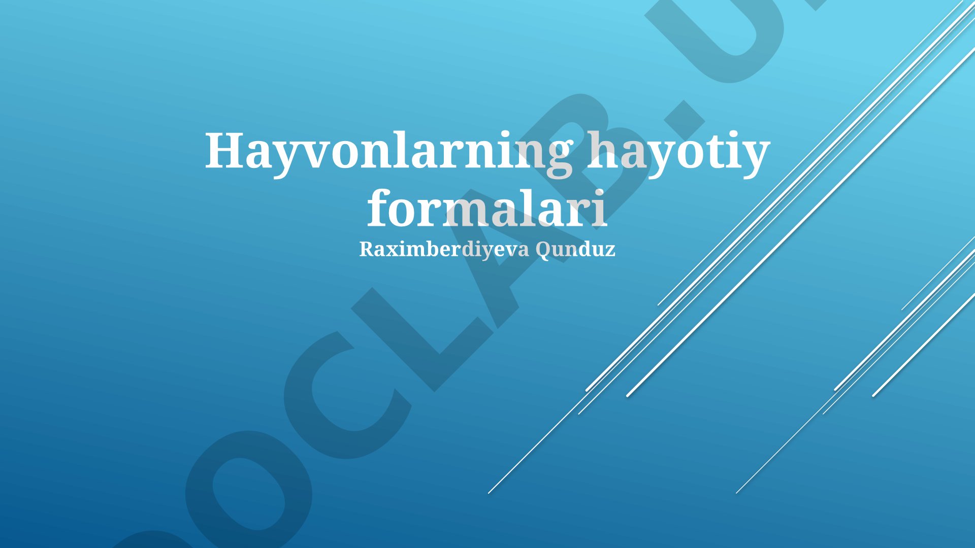 Hayvonlarning hayotiy formalari