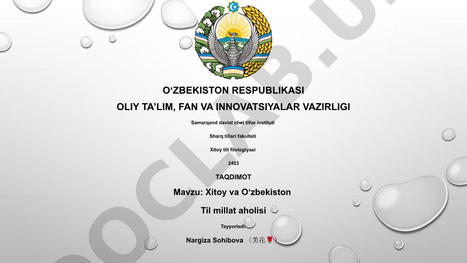 Xitoy va Oʻzbekiston: Tarix, Til va Madaniyat