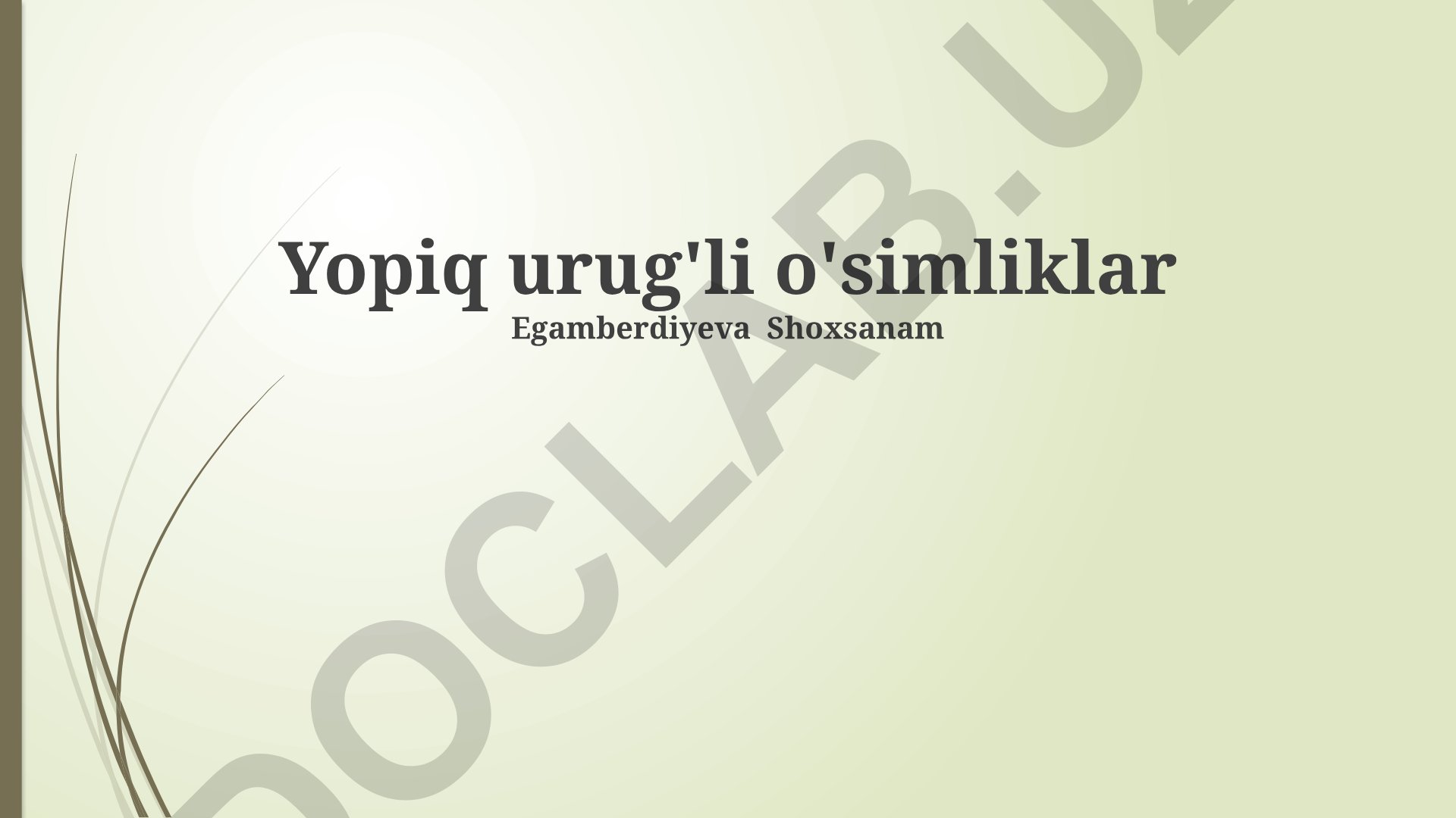 Yopiq urug'li o'simliklar turlari, xususiyatlari va ahamiyati