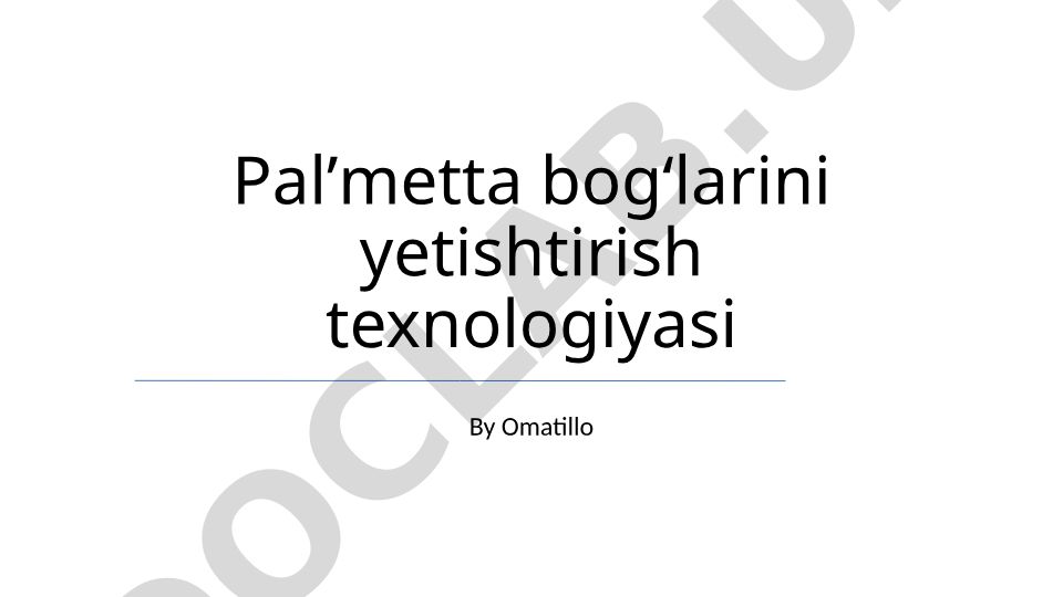 Palmetto bog'larini yetishtirish texnologiyasi