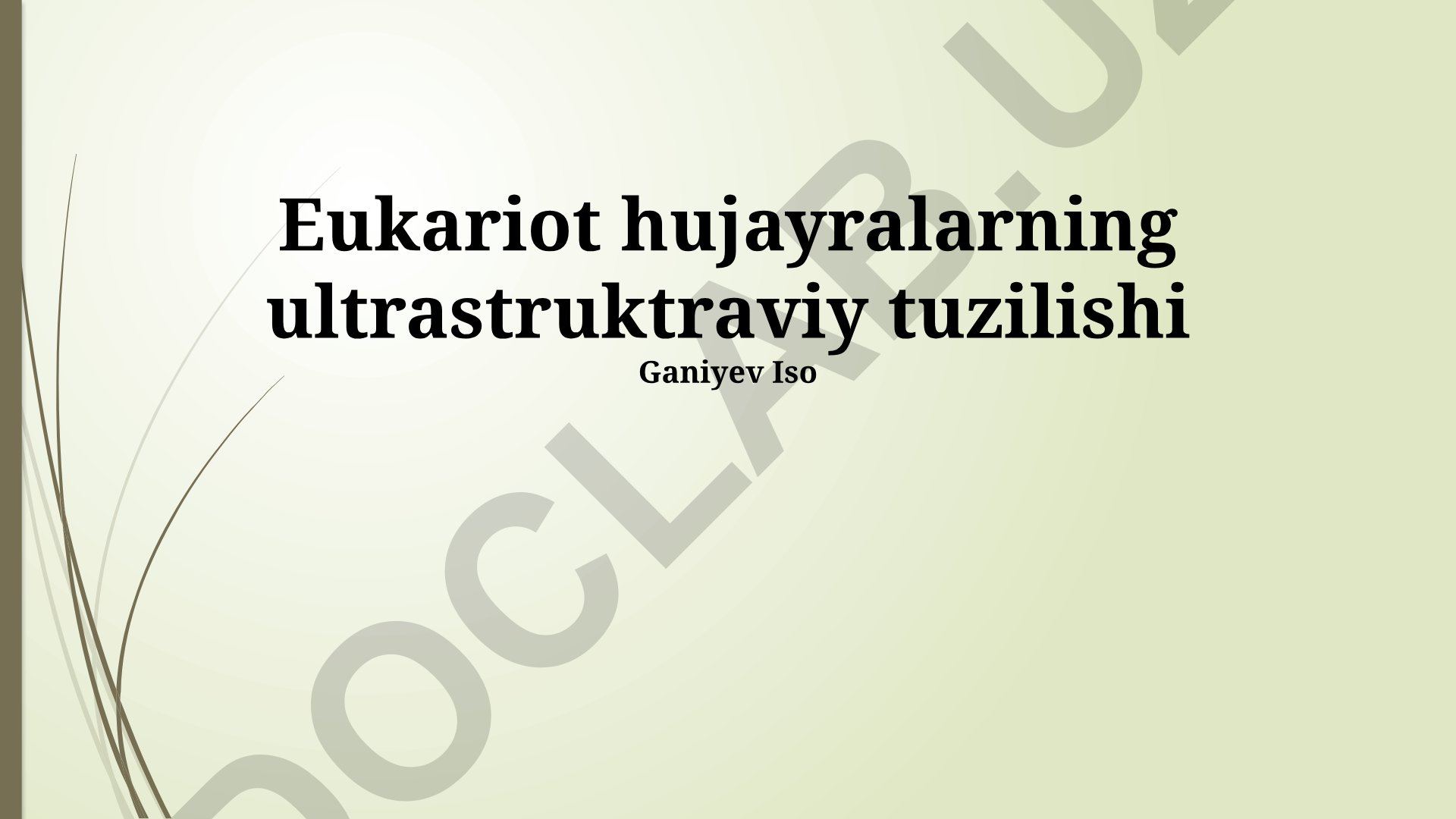 Eukariot hujayralarning ultrastrukturaviy tuzilishi