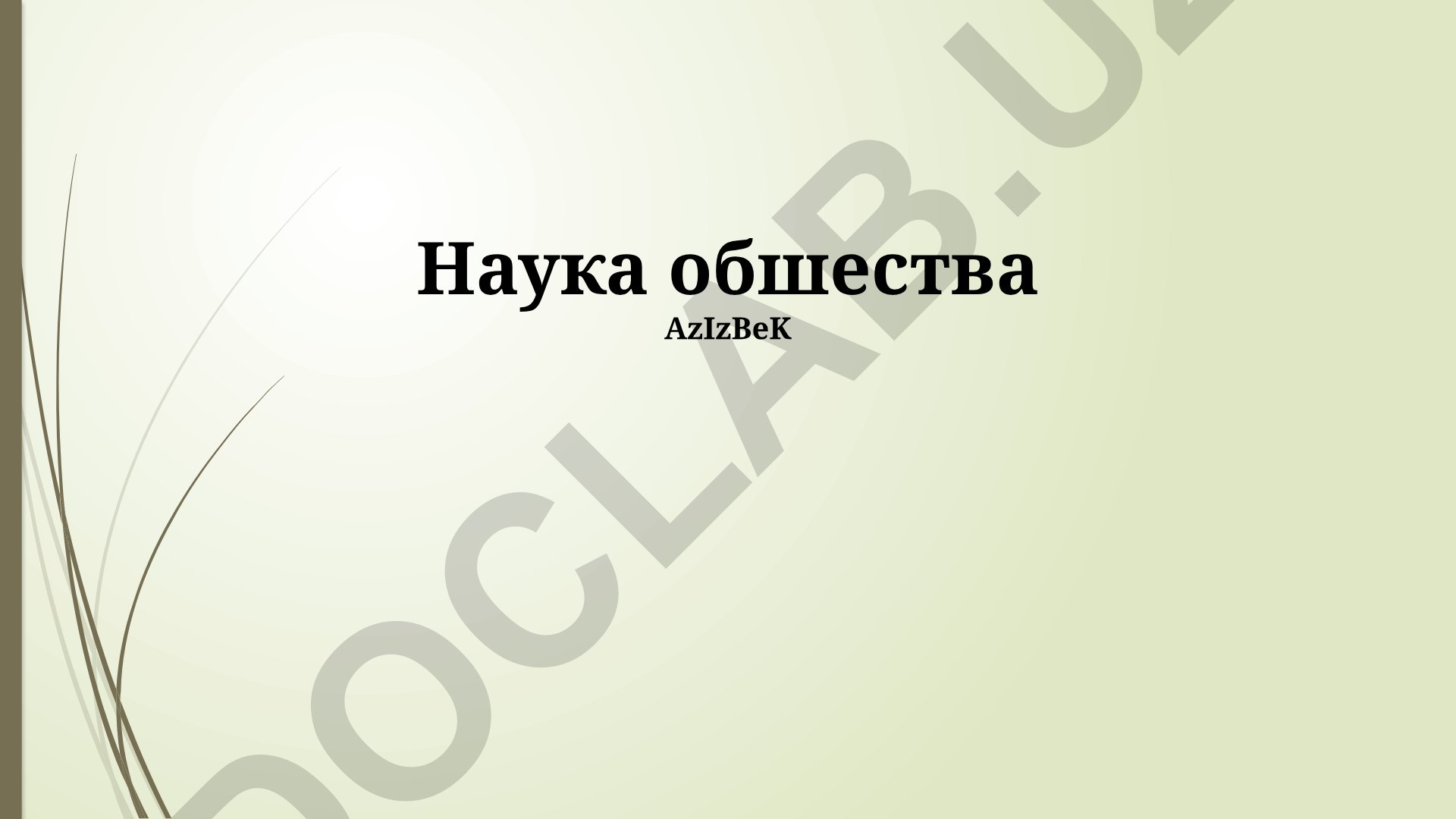 Социальные науки: определение, области исследования и применение
