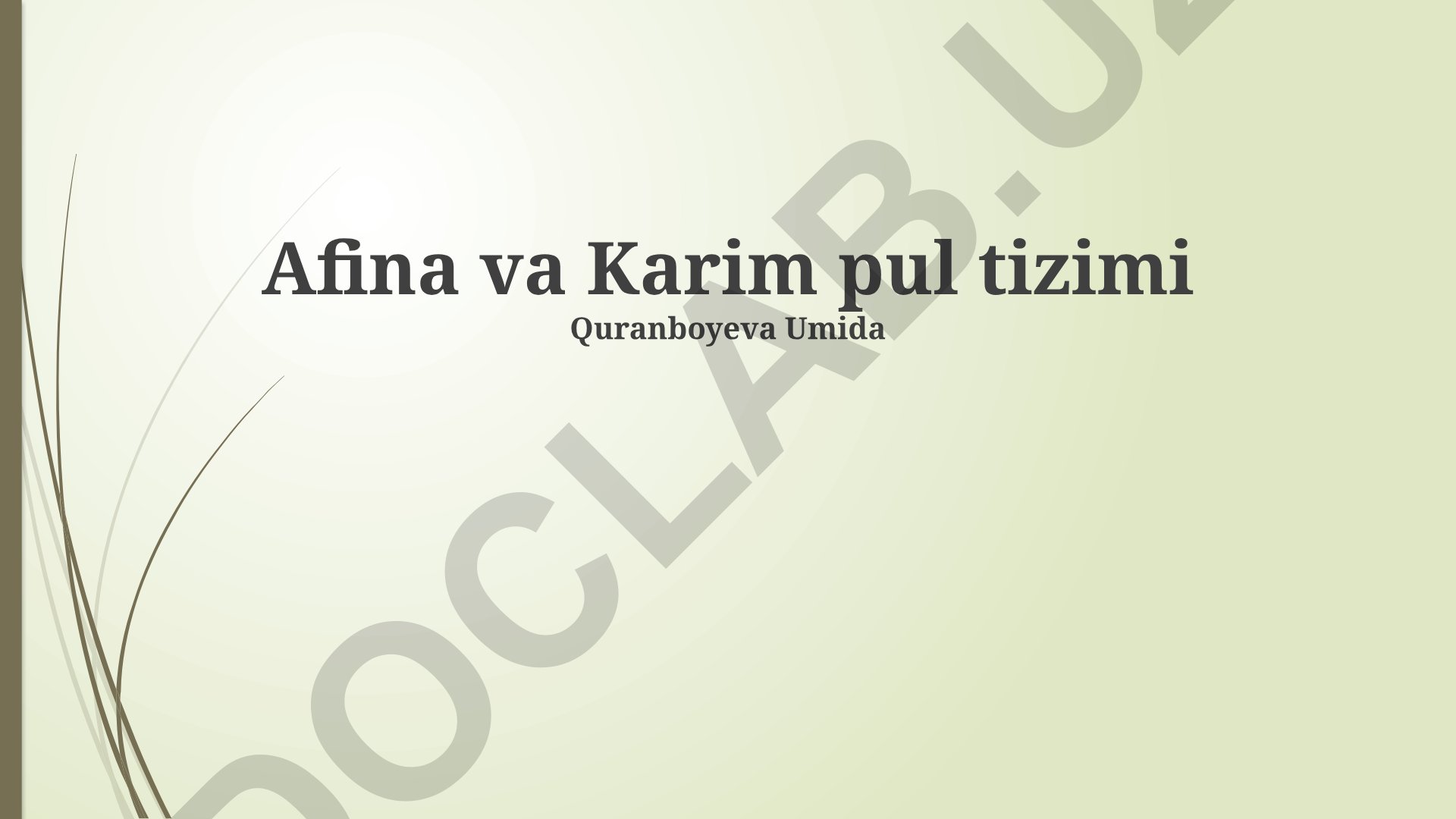 Afina va Karimning pul tizimi: Dinar valyutasi va pul-kredit siyosati