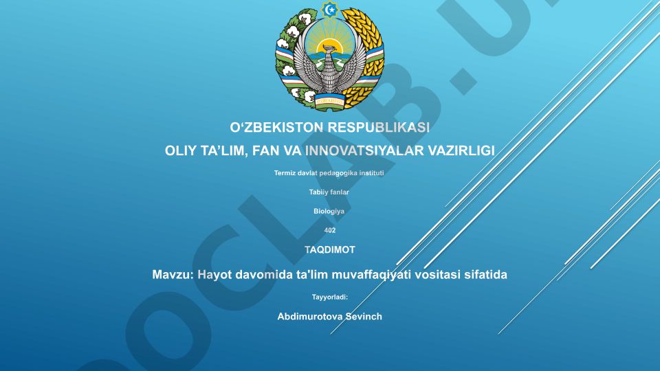 Hayot davomida ta'lim muvaffaqiyati vositasi sifatida